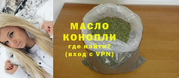 хмурый Арсеньев