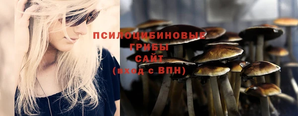 скорость Алзамай