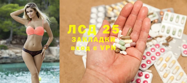 шишки Армянск