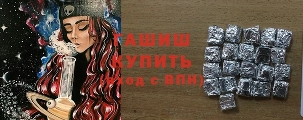 хмурый Арсеньев