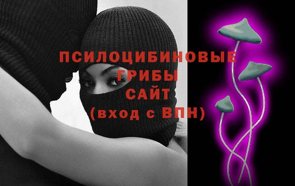 шишки Армянск