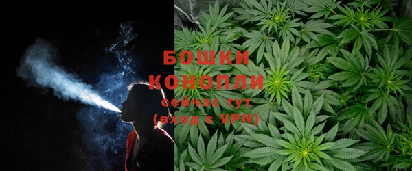 хмурый Арсеньев