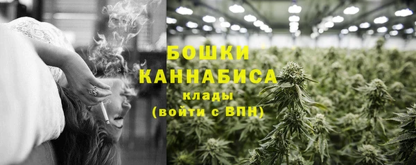 шишки Армянск