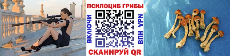 Псилоцибиновые грибы ЛСД  KRAKEN зеркало  Майкоп 